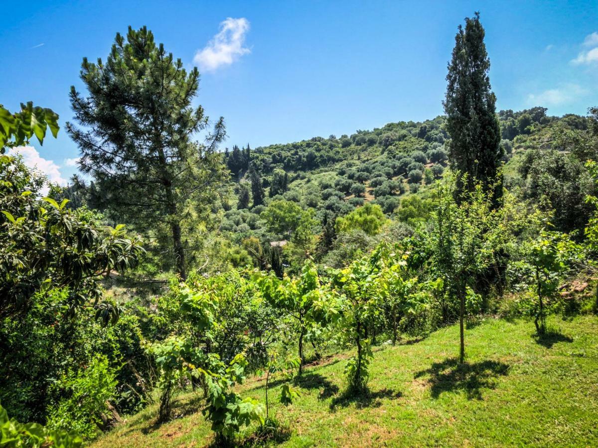 Hidden Gem In Nature Reserve Near The Beach - Corfu South Kritika  Esterno foto