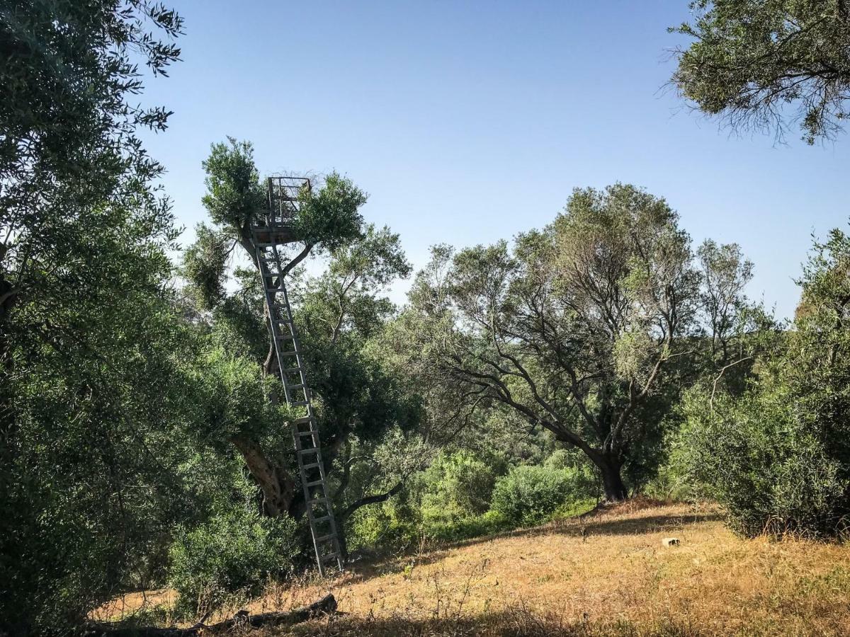 Hidden Gem In Nature Reserve Near The Beach - Corfu South Kritika  Esterno foto